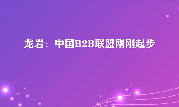 龙岩：中国B2B联盟刚刚起步