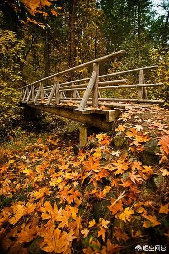 立秋写一首小诗