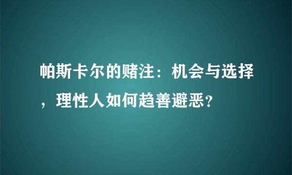 帕斯卡尔的赌注：机会与选择，理性人如何趋善避恶？