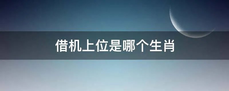 借机上位是哪个生肖