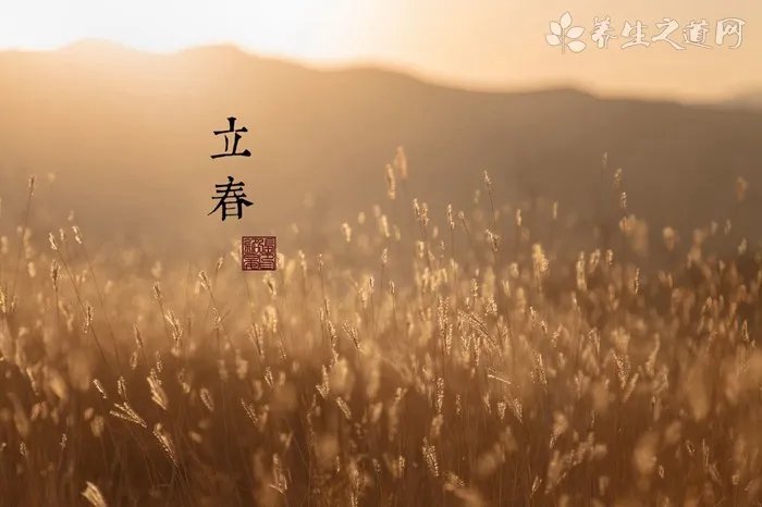 2021大寒节气吃什么食物 大寒推荐你这8种食材