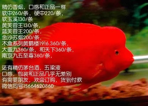 安徽省烟草网上订货怎么订