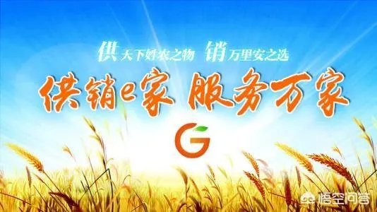 怎么加盟供销e家？