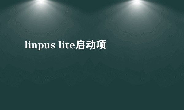 linpus lite启动项