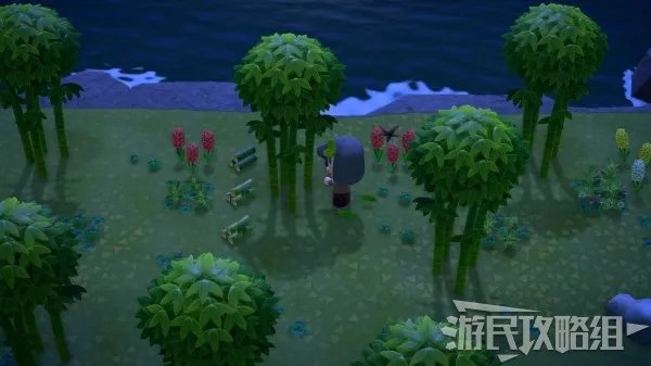 《动物森友会》素材岛种类及可获取材料一览