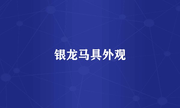 银龙马具外观