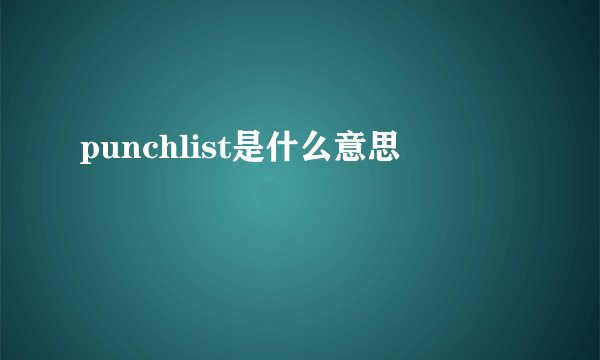 punchlist是什么意思