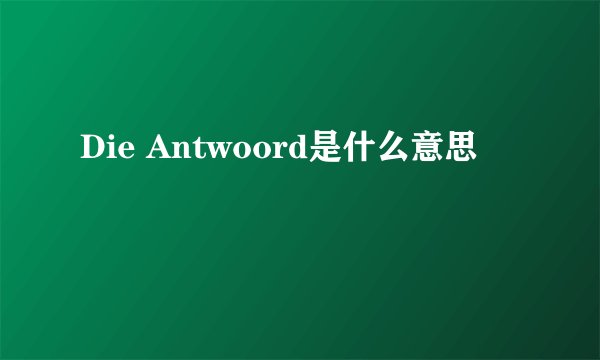 Die Antwoord是什么意思
