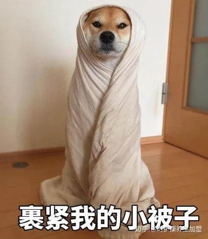 中医养生馆加盟哪家好