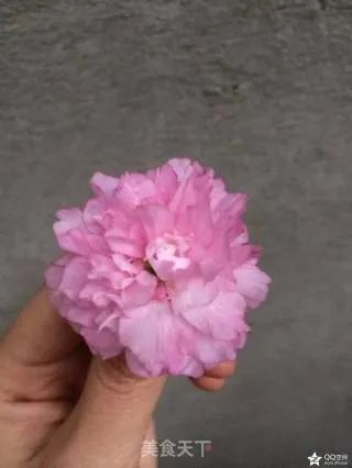 盐渍樱花