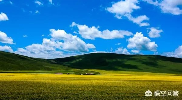 青海门源你去过吗？