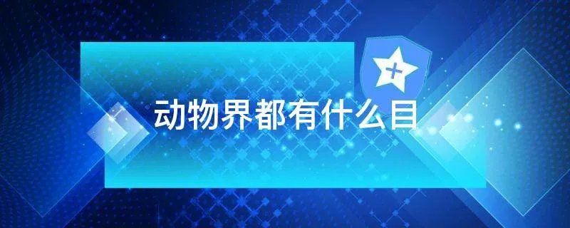 动物界都有什么目
