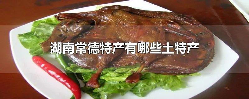 湖南常德特产有哪些土特产