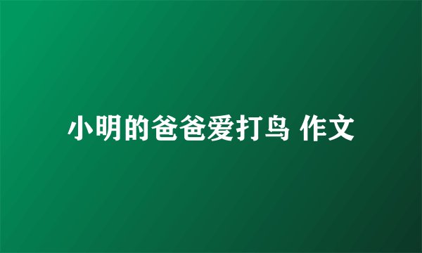小明的爸爸爱打鸟 作文