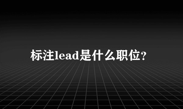 标注lead是什么职位？