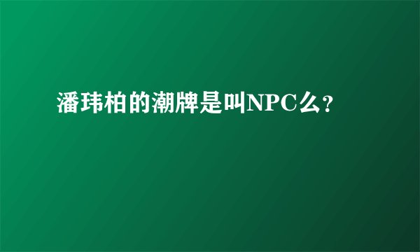 潘玮柏的潮牌是叫NPC么？
