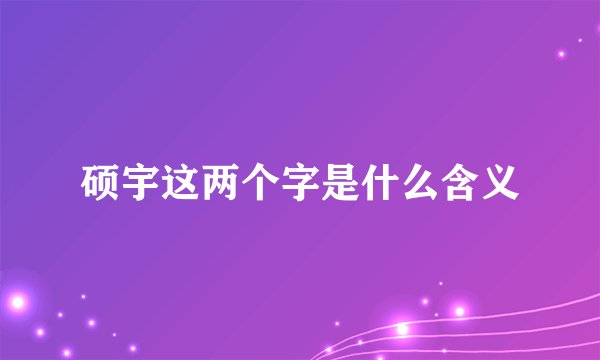 硕宇这两个字是什么含义