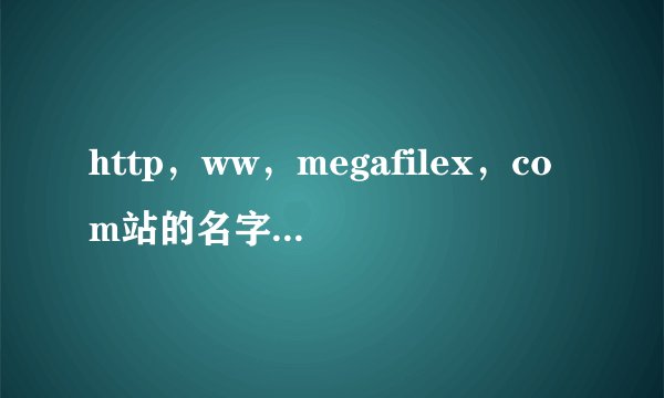 http，ww，megafilex，com站的名字我修改了.现在我打不开了.以前可以的.别的电脑可以我的就不可以？为什么