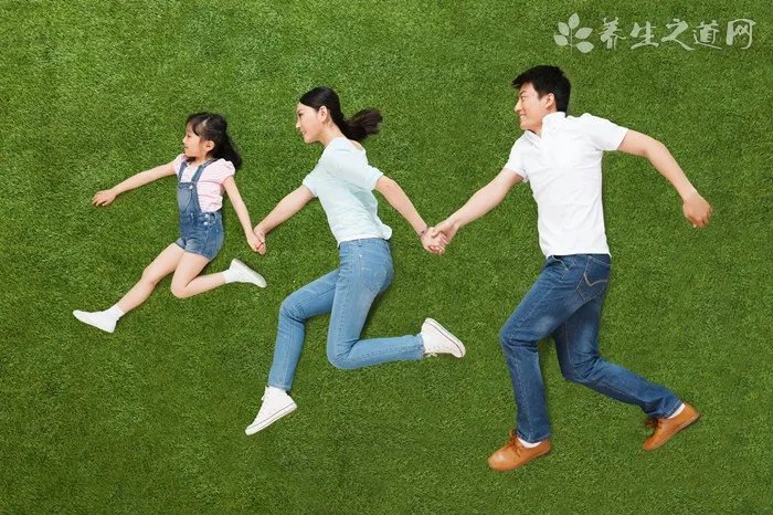 马黛茶的功效与作用