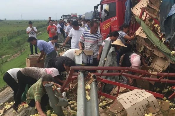 承包商收花生时遭村民哄抢,为何报警都管束不住这群农民?