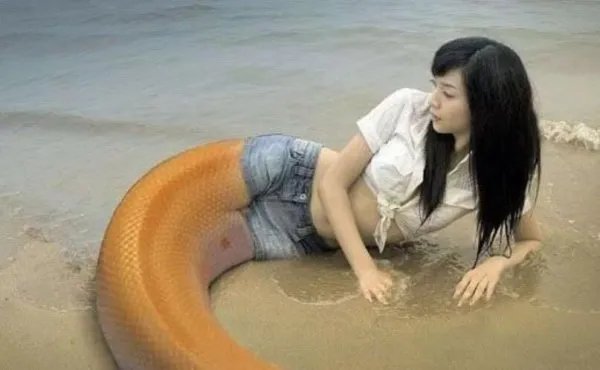 人头蛇身怪物之谜 恐怖变异生物震惊全球事件