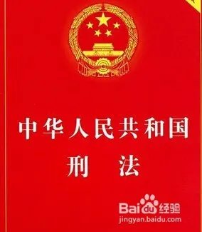 在柯基被当野狗打死 ，遇到这种情况咋办