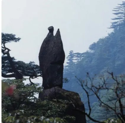 黄山奇石有哪些？