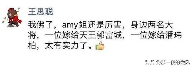 如何看待王思聪说潘玮柏的老婆是Amy的一名大将？