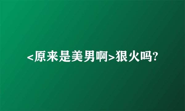 <原来是美男啊>狠火吗?