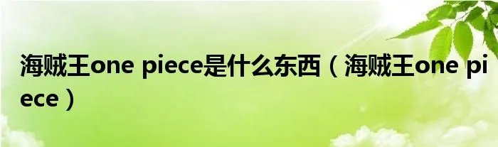 海贼王one piece是什么东西（海贼王one piece）