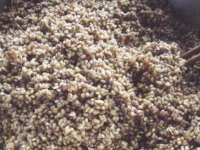 肉粽子的米怎么腌制窍门