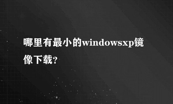 哪里有最小的windowsxp镜像下载？