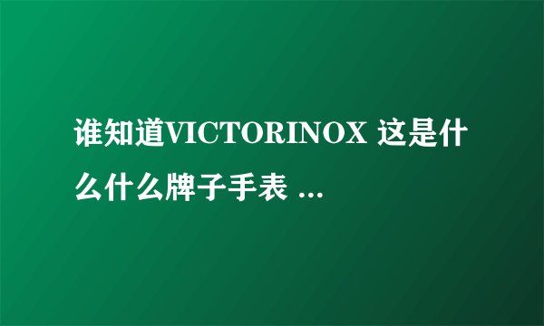 谁知道VICTORINOX 这是什么什么牌子手表 我不知道华语怎么讲？