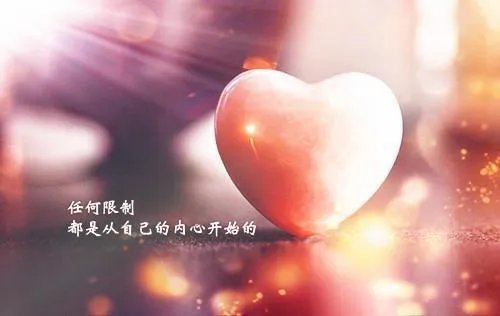 林辛言宗景灏小说 林辛言宗景灏免费阅读