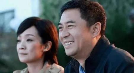 王海燕张嘉译什么关系