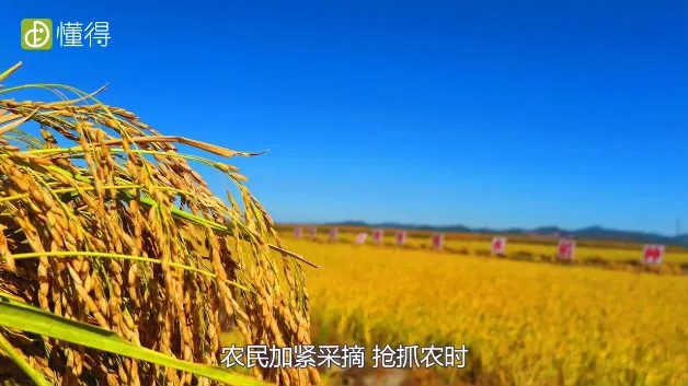 处暑是什么意思