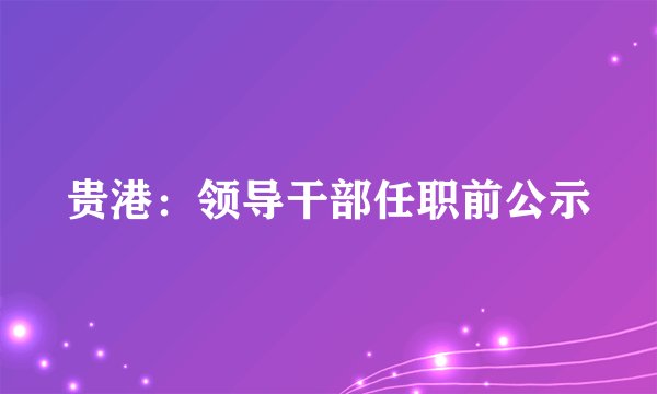 贵港：领导干部任职前公示