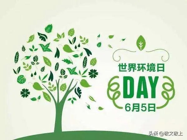 6月5日是世界什么日？
