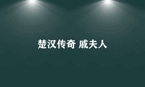 楚汉传奇 戚夫人