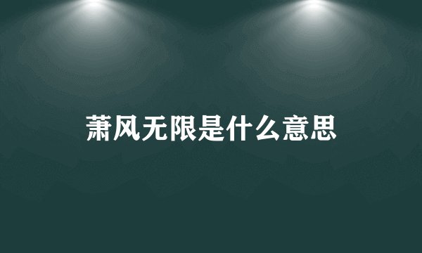 萧风无限是什么意思