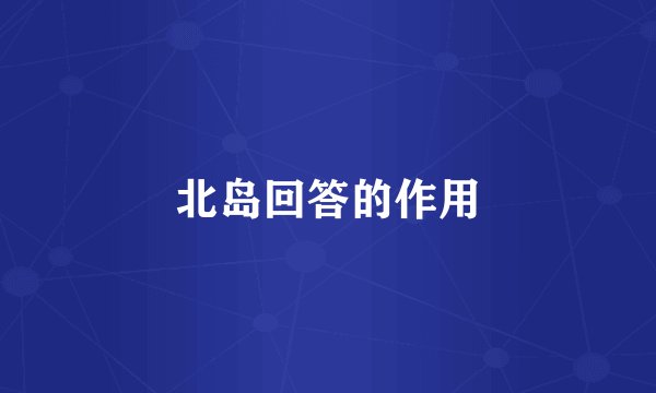 北岛回答的作用