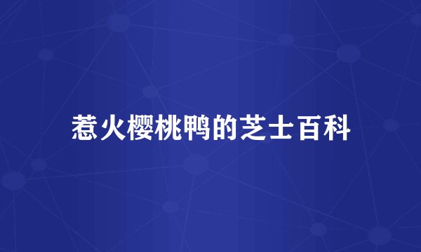 惹火樱桃鸭的芝士百科