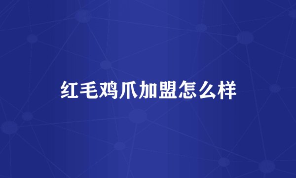 红毛鸡爪加盟怎么样