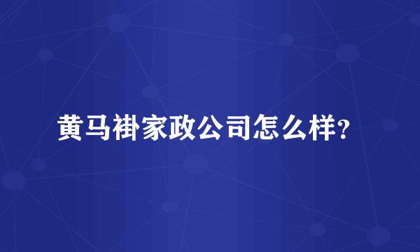 黄马褂家政公司怎么样？