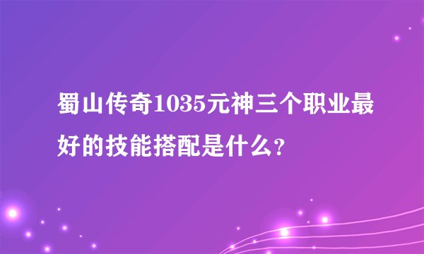 蜀山传奇1035元神三个职业最好的技能搭配是什么？