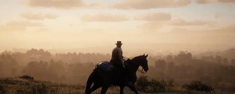 荒野大镖客2捏脸女