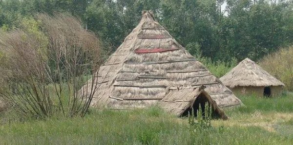 半坡原始居民和河姆渡原始居民相同吗？