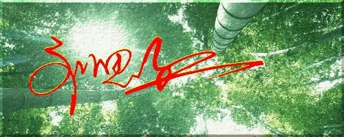 刘思红姓名个性签名设计