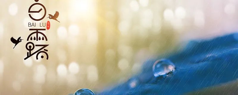 白露节气适合吃什么