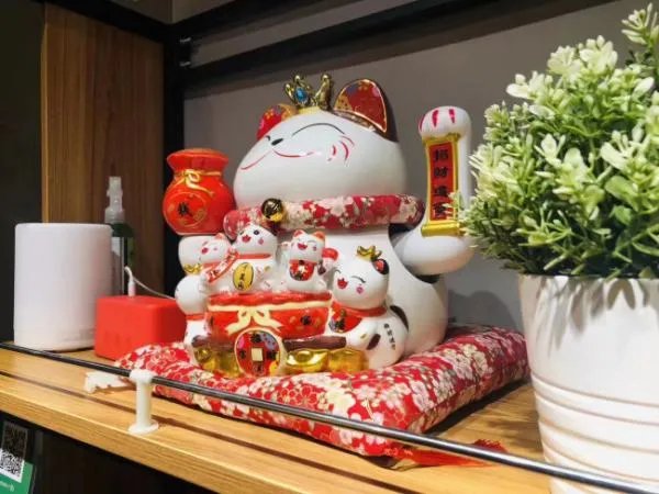 宠物店如何管理好会员方案